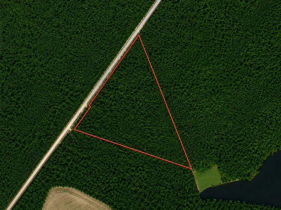 TBD Wolf Pit Bay Rd., Nichols, SC 29581 - #2
