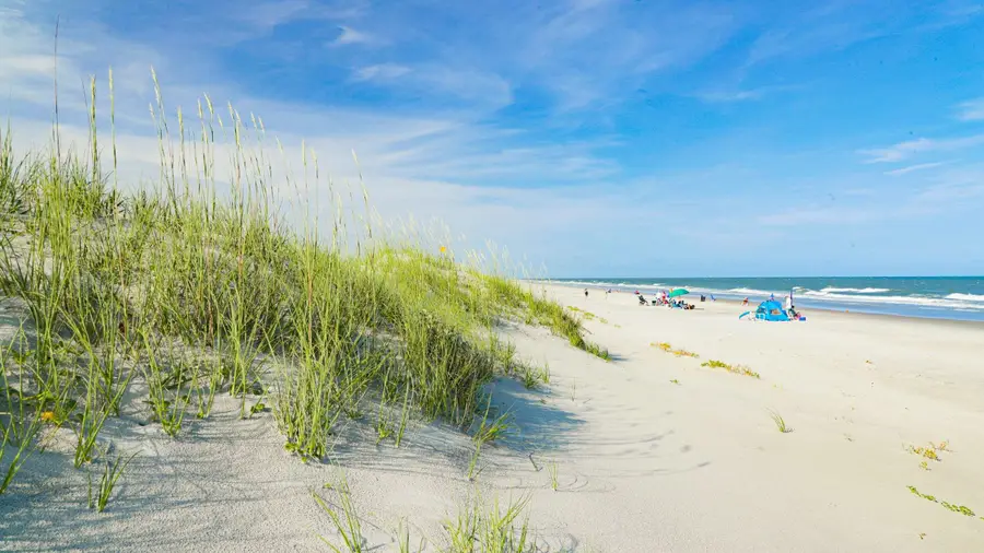 25 Red Maple Dr., Pawleys Island, SC 29585 - #3