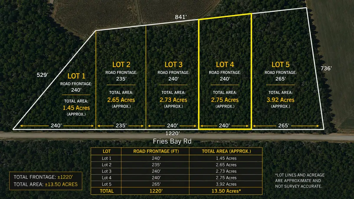 LOT 4 Fries Bay Rd., Loris, SC 29569 - #1