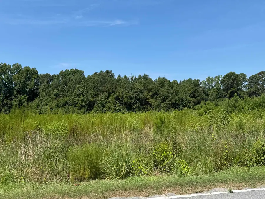 TBD Spring Branch Rd., Nichols, SC 29581 - #3
