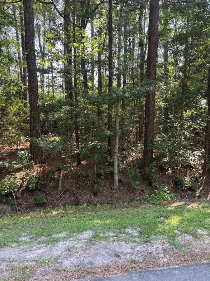 13 Myrtlewood Dr., Calabash, NC 28467 - #2