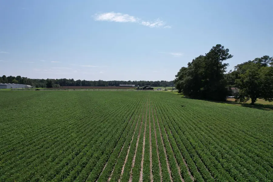 Lot 3 - Sumter Hwy., Kingstree, SC 29556 - #2