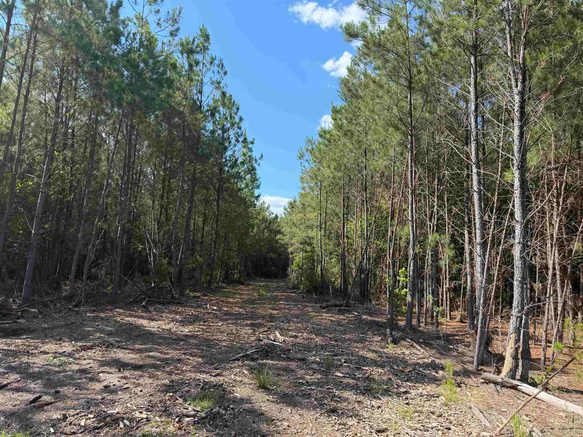 8862 Ware Dr., Nichols, SC 29581 - #1