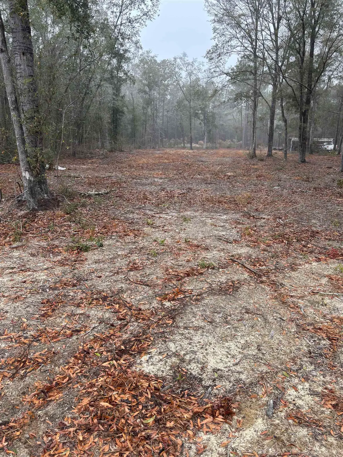 TBD Pleasantdale Rd., Nichols, SC 29581 - #1
