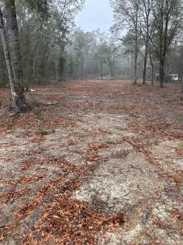 TBD Pleasantdale Rd., Nichols, SC 29581
