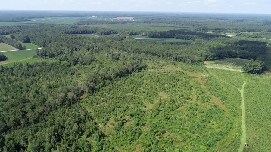 Haynes Lennon Hwy, Tatums, SC 28431 - #2