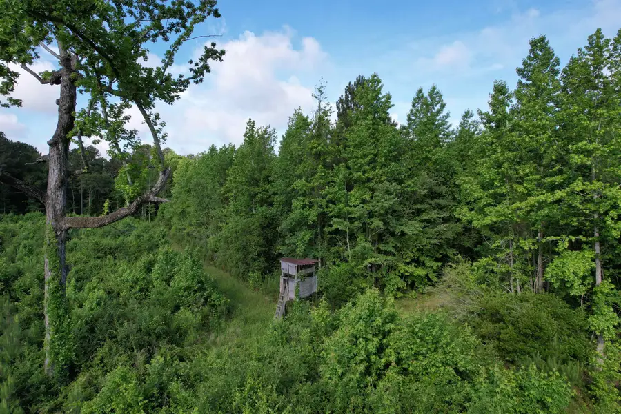 81.67 Acres - Twin Church Rd, Timmonsville, SC 29161 - #2