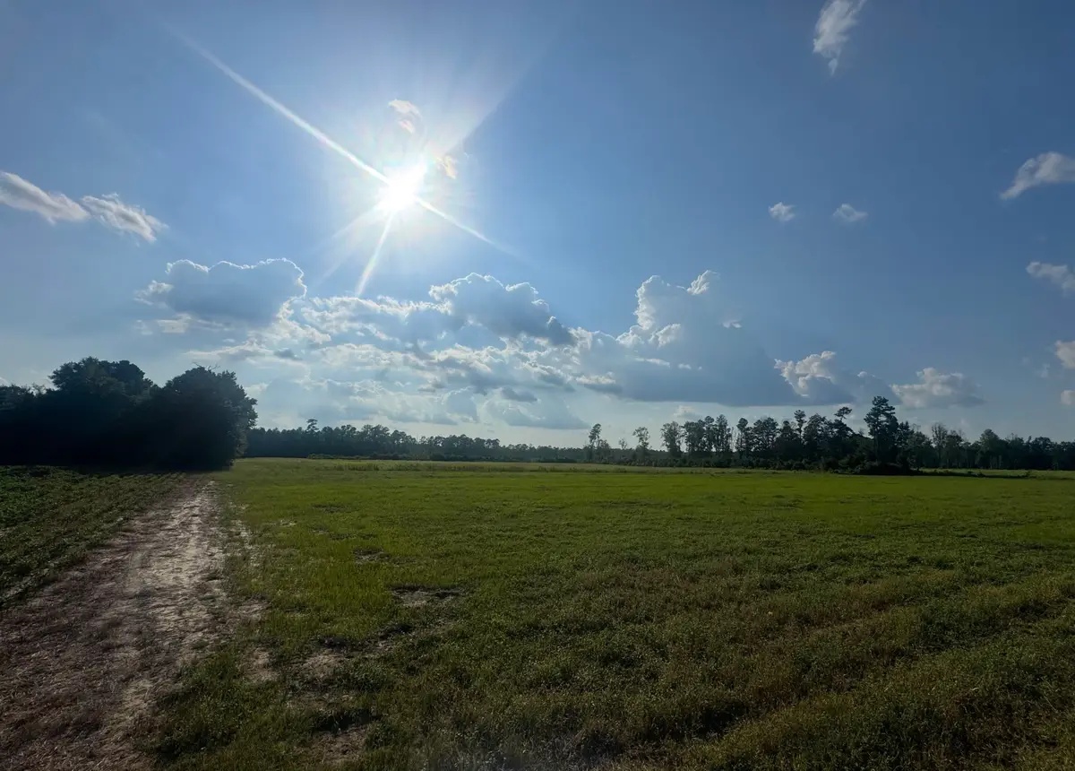 Highway 19, Nichols, SC 29581 - #1