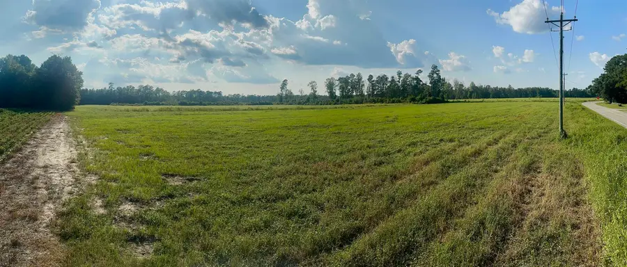Highway 19, Nichols, SC 29581 - #2