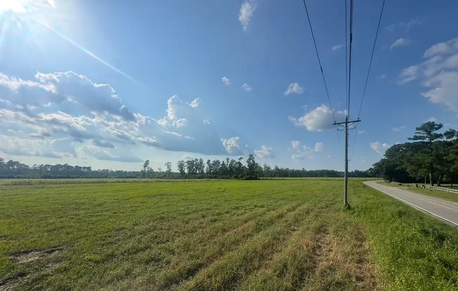 Highway 19, Nichols, SC 29581 - #3