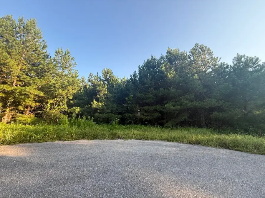 359 Cedar Grove Church Rd, Johnsonville, SC 29555 - #2