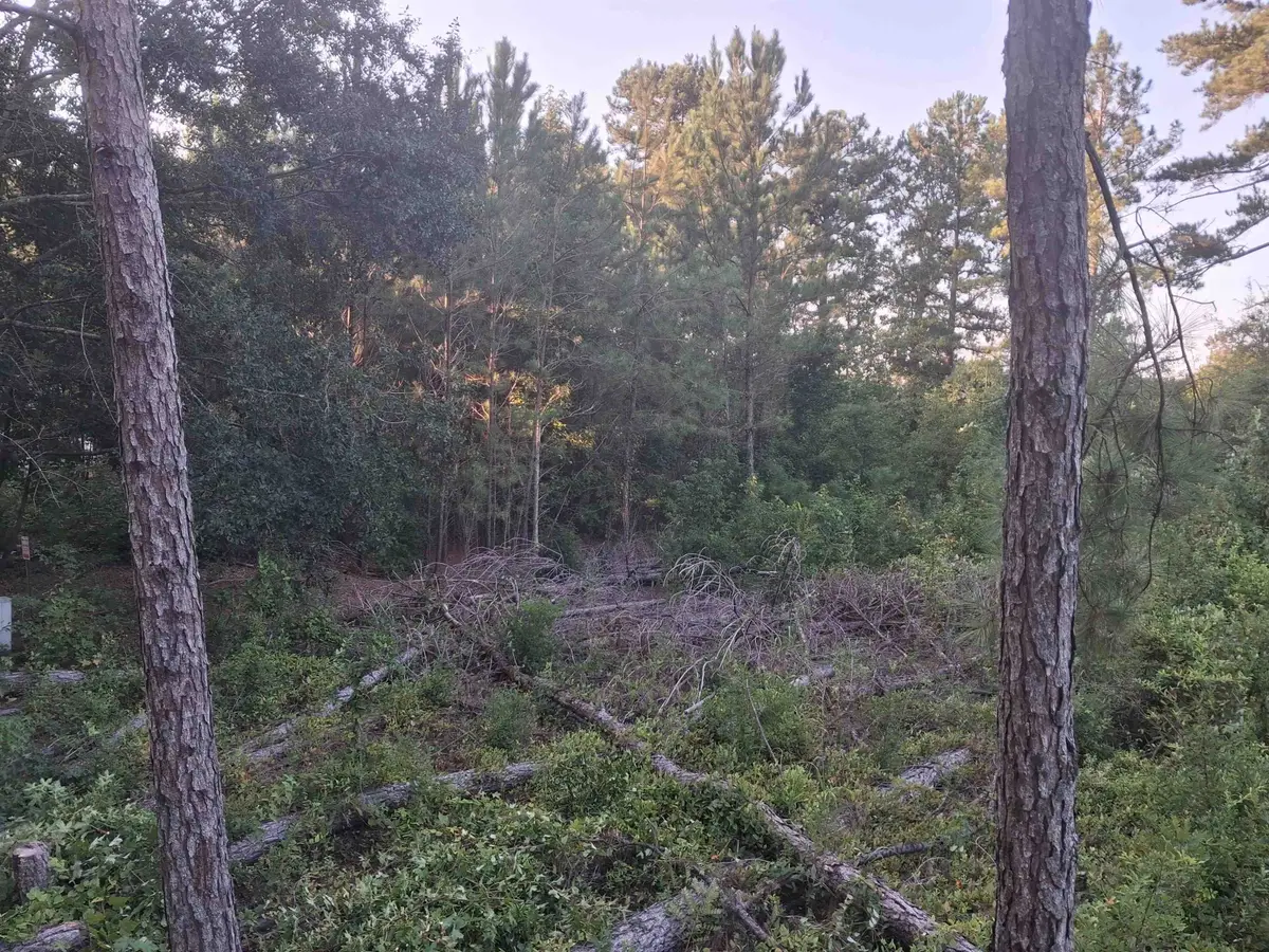 Lot 12-D Mcgregor Circle, Lake City, SC 29560 - #1