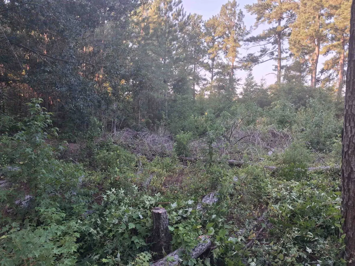 Lot 11-D Mcgregor Circle, Lake City, SC 29560 - #1