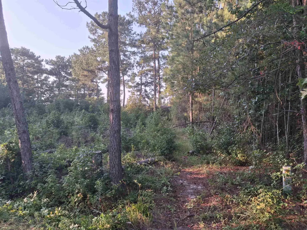 Lot 10-D Mcgregor Circle, Lake City, SC 29560 - #1