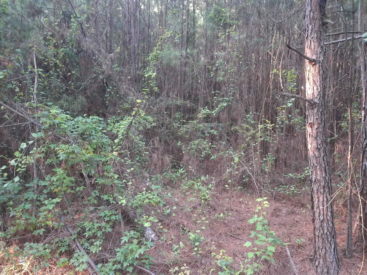 Lot 5-D Mcgregor Circle, Lake City, SC 29560 - #1