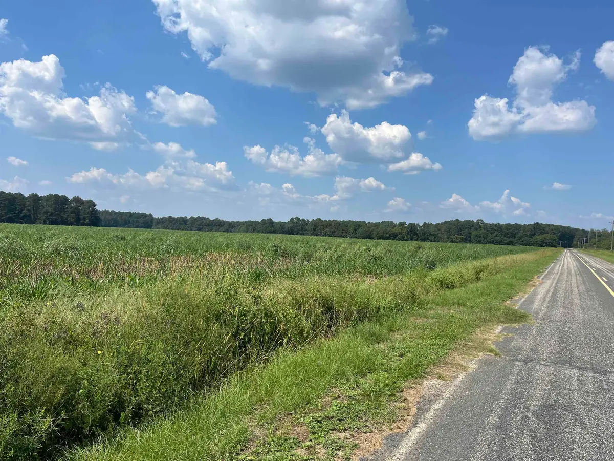 J. Ben Rogers Rd, Bennettsville, SC 29512 - #1