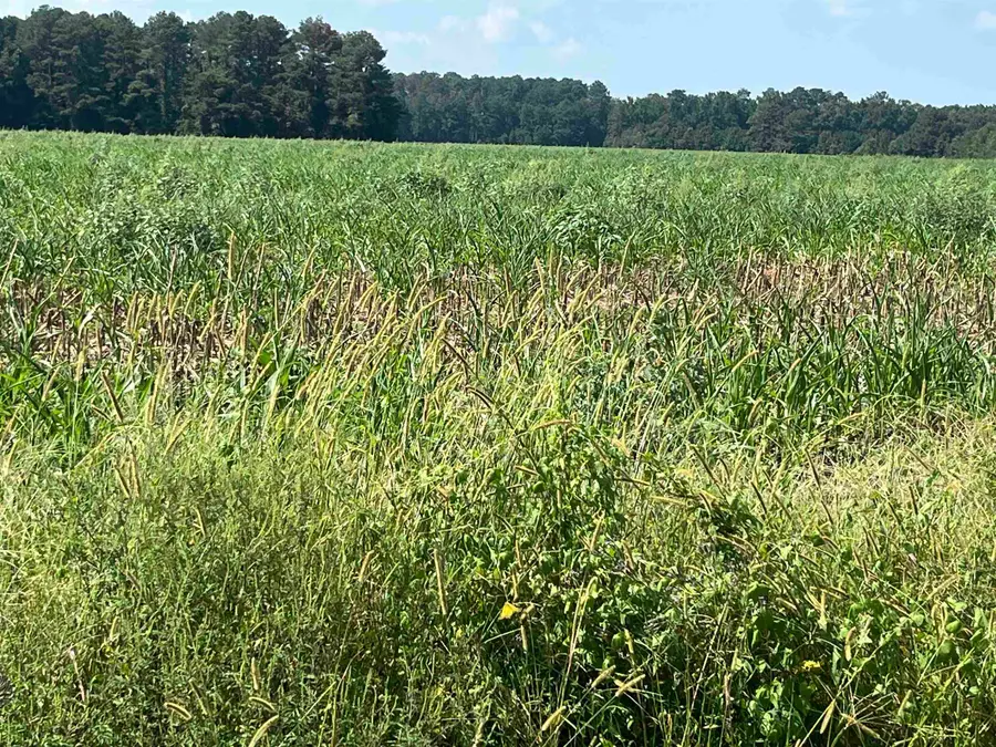 J. Ben Rogers Rd, Bennettsville, SC 29512 - #2