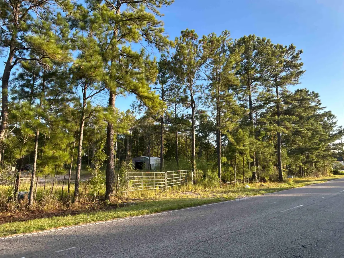 162 Gardner Lacy Rd., Myrtle Beach, SC 29579 - #1