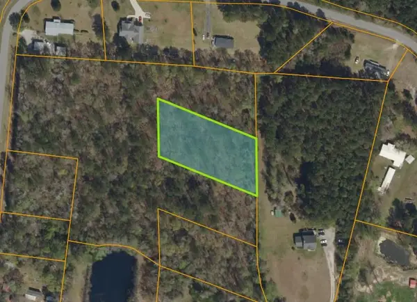 TBD Douston Rd., Loris, SC 29569