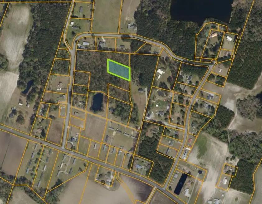 TBD Douston Rd., Loris, SC 29569 - #2