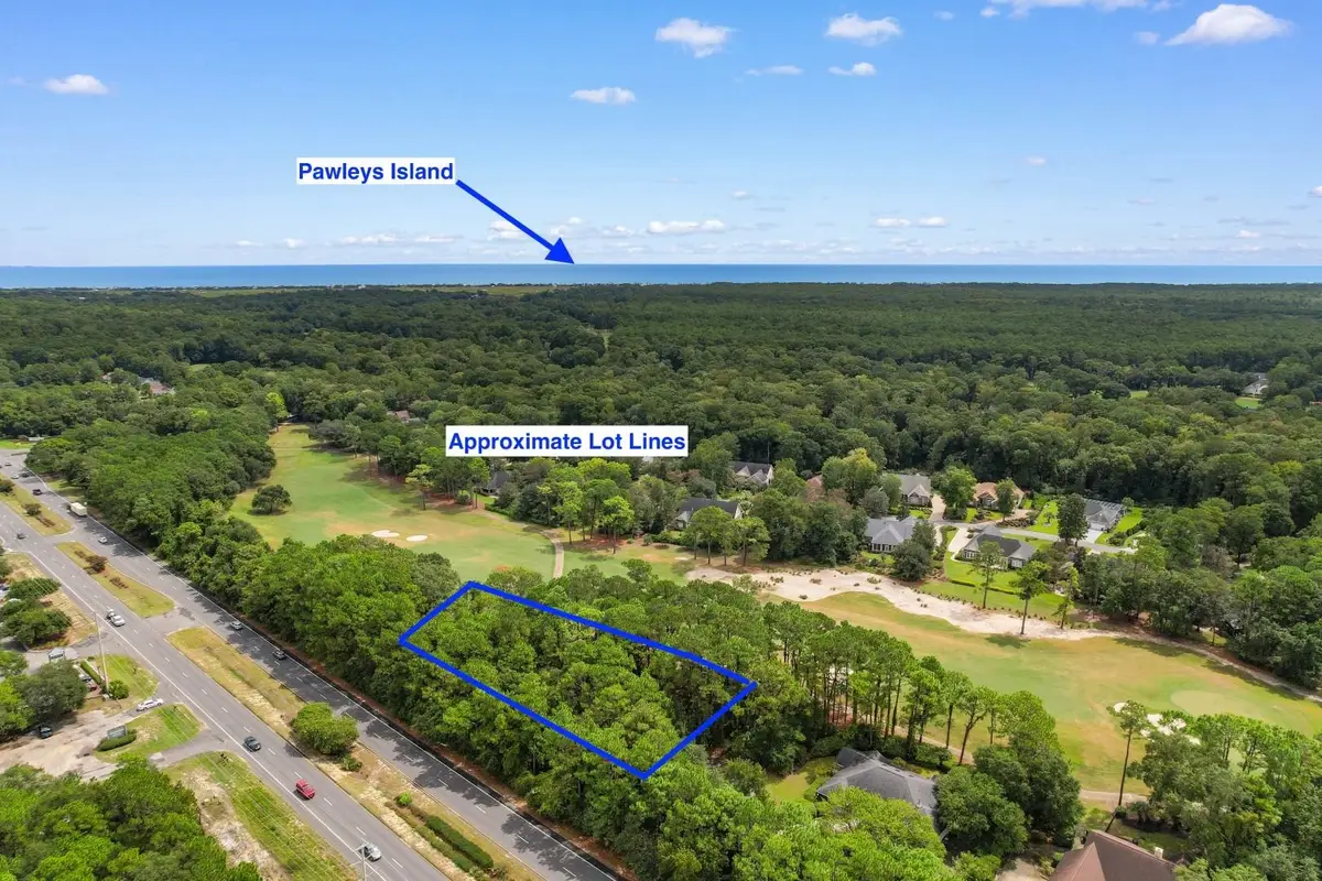 22 Vintage Ct., Pawleys Island, SC 29585 - #1