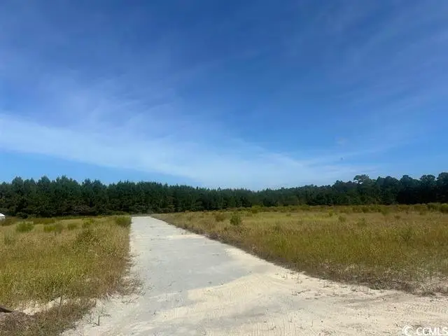 Tansy Rd., Loris, SC 29569 - #1