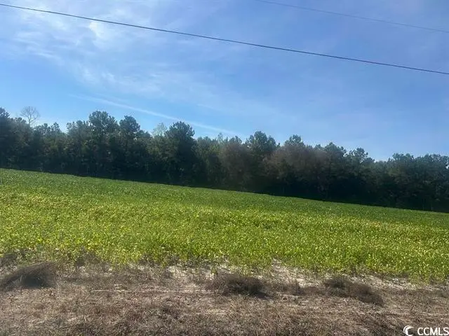 Tansy Rd., Loris, SC 29569 - #2
