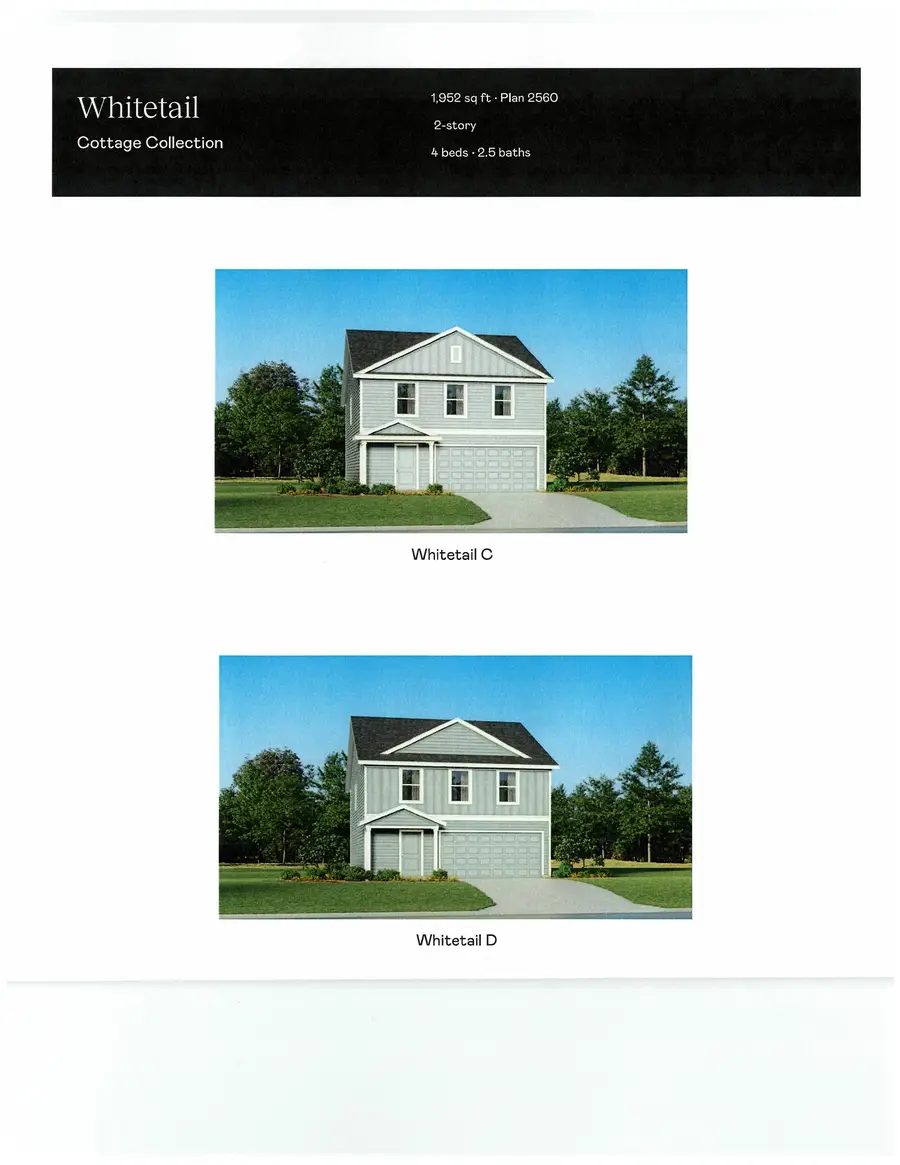 579 Cambria Dr, Longs, SC 29568 - #3