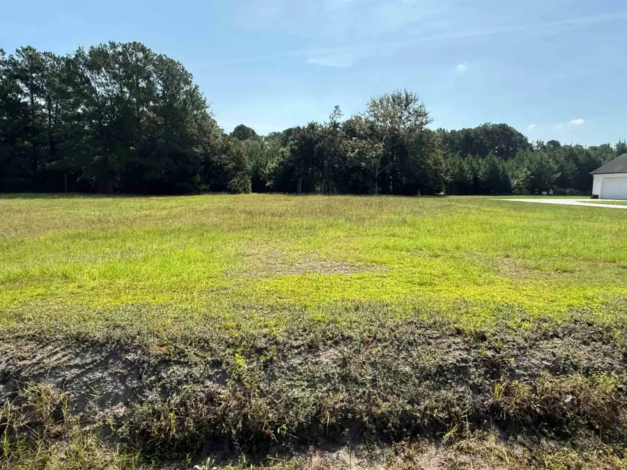 TBD Hugo Rd., Conway, SC 29527 - #3