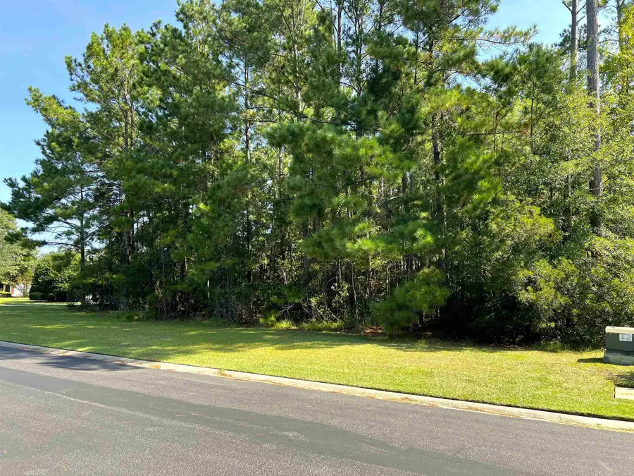 TBD Creek Harbour Circle, Murrells Inlet, SC 29576 - #2