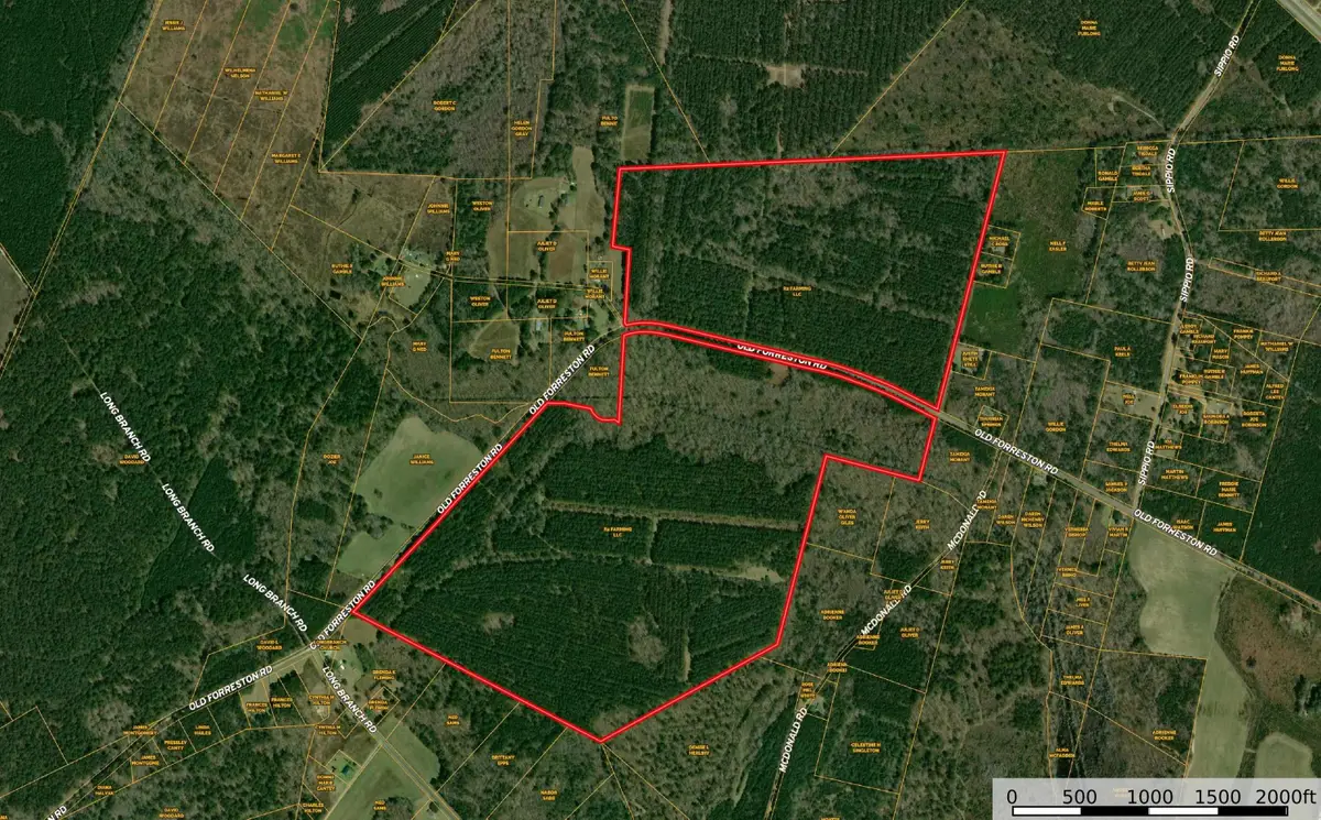 0 Old Forreston Rd., Greeleyville, SC 29056 - #1