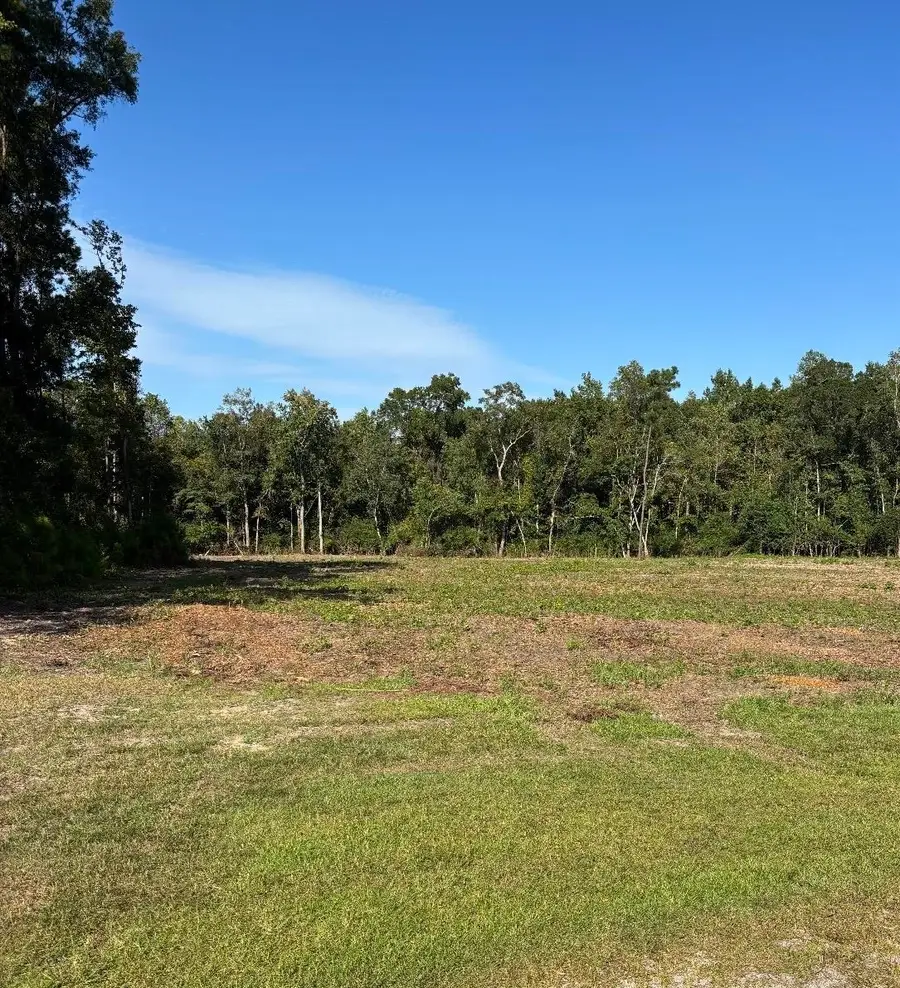 TBD Cane Branch Church Rd., Conway, SC 29527 - #2