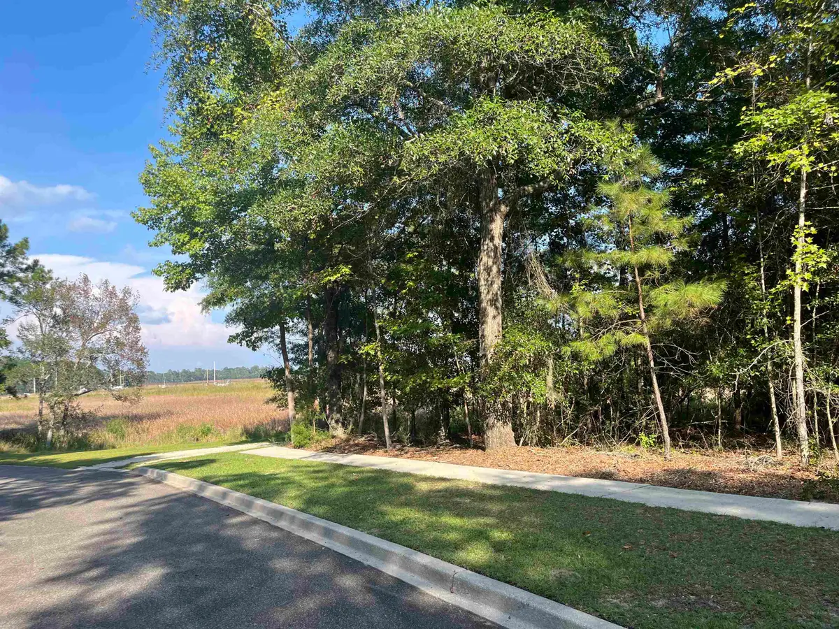 TBD Warham Dr., Georgetown, SC 29440 - #1