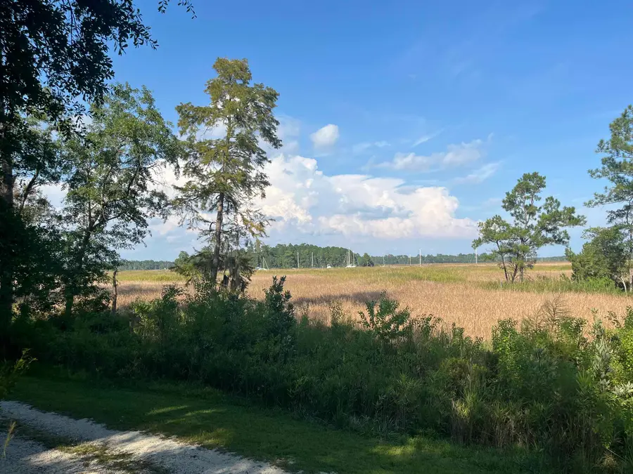 TBD Warham Dr., Georgetown, SC 29440 - #2