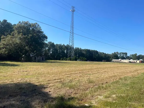 Highway 38, Blenheim, SC 29516