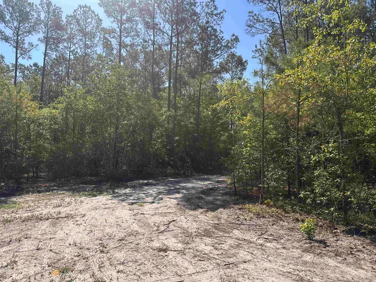 1682 Carriage Dr., Loris, SC 29569 - #1
