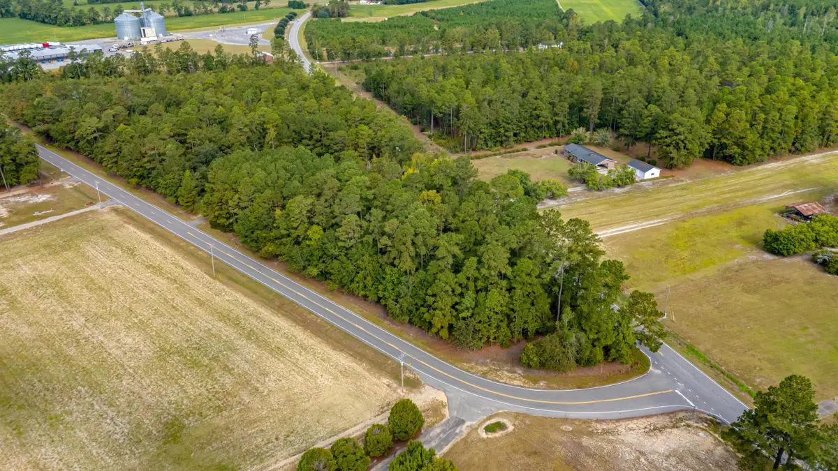 TBD Highway 917, Nichols, SC 29581 - #1