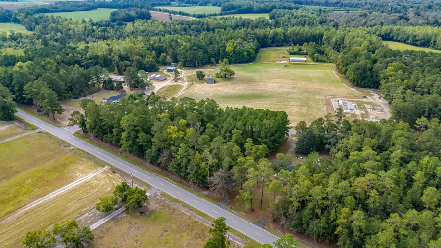 TBD Highway 917, Nichols, SC 29581 - #3