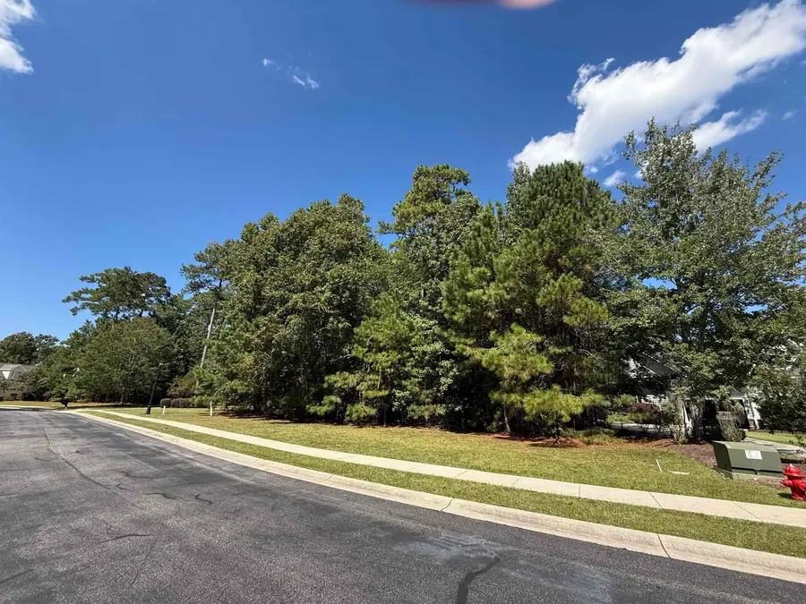 155 Low Country Loop, Murrells Inlet, SC 29576 - #3