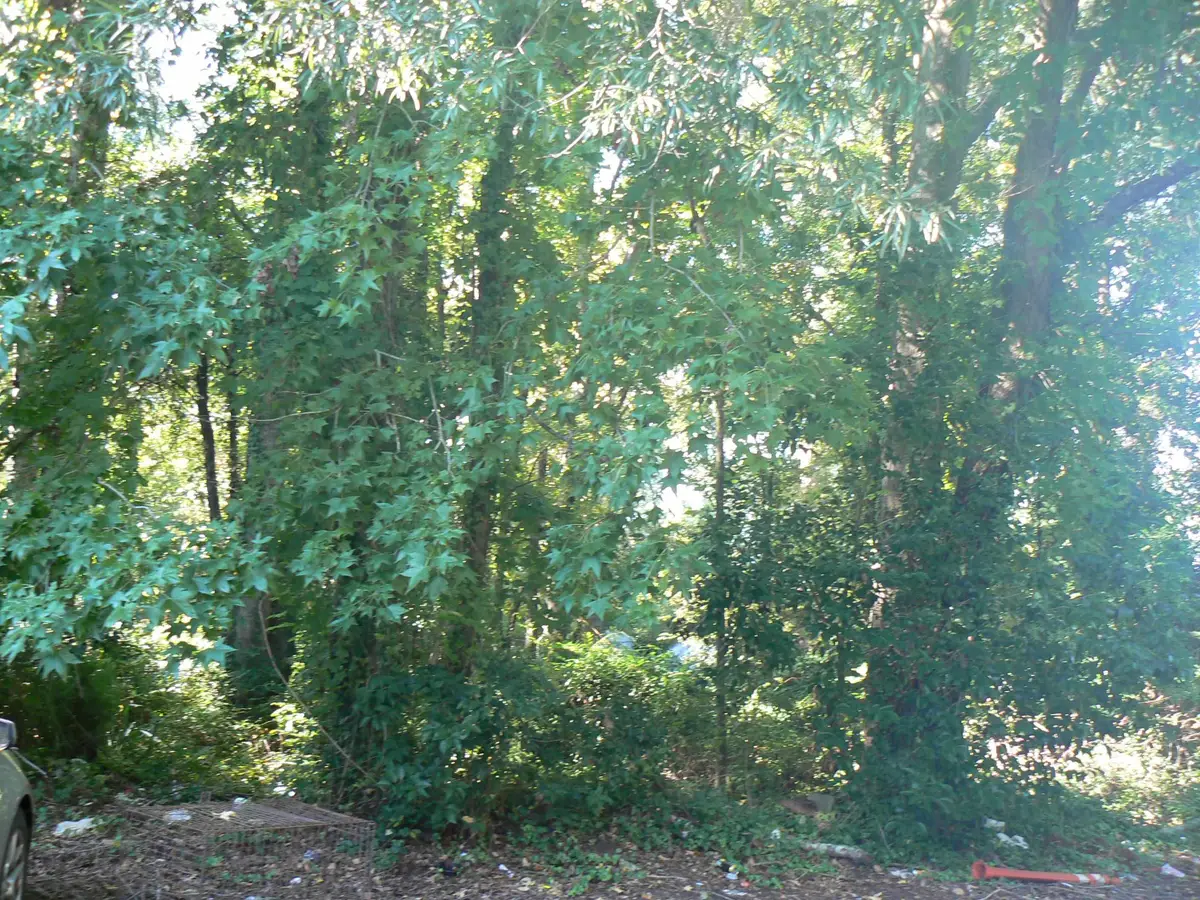1405 Shavis Ct., Myrtle Beach, SC 29577 - #1