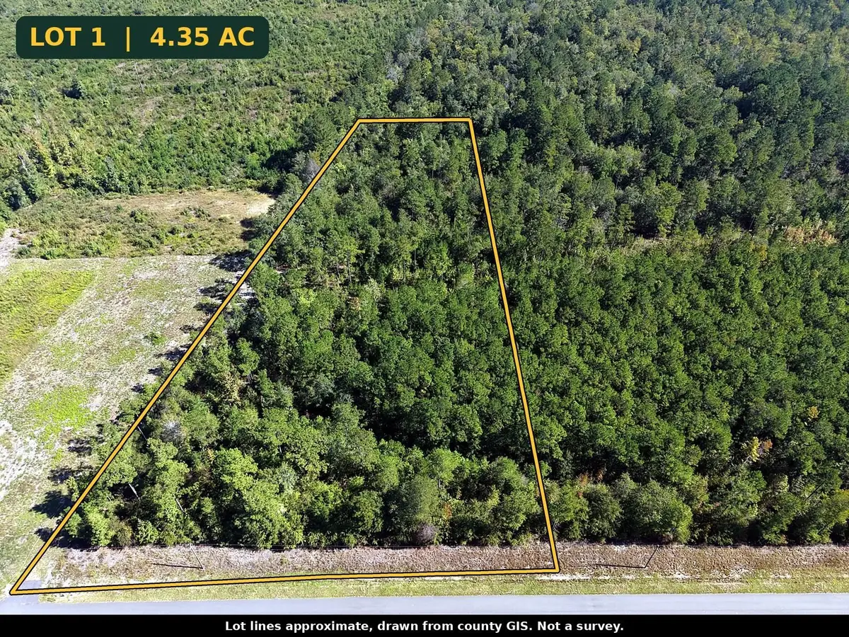 TBD Bellaire Dr., Nichols, SC 29581 - #1