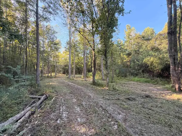 0 Pleasant View Church Rd., Nichols, SC 29581