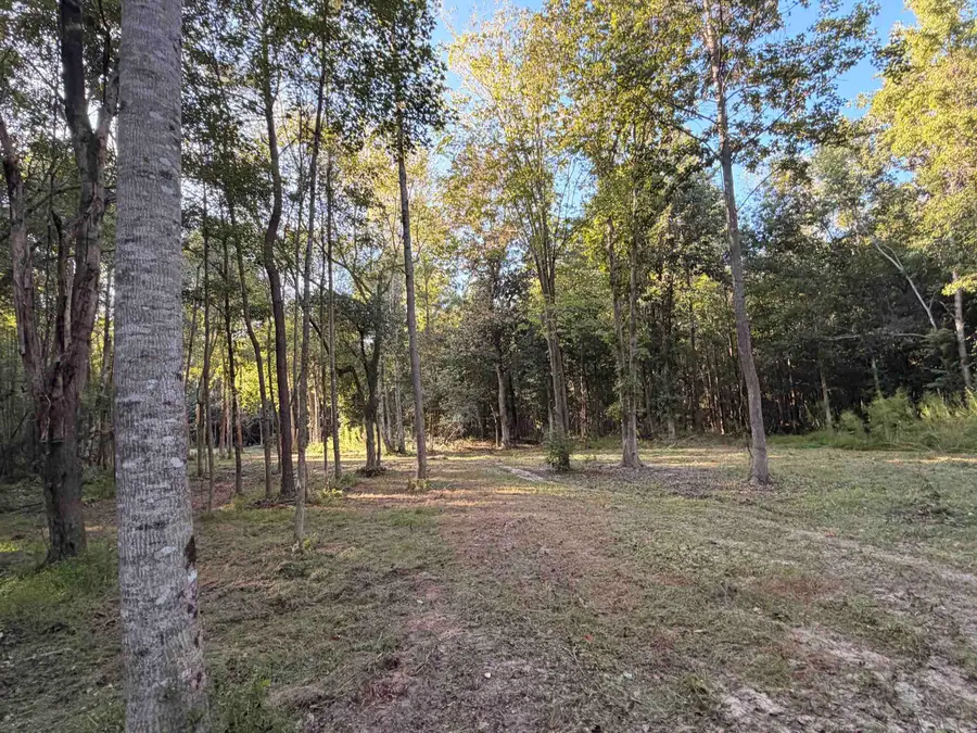 0 Pleasant View Church Rd., Nichols, SC 29581 - #3