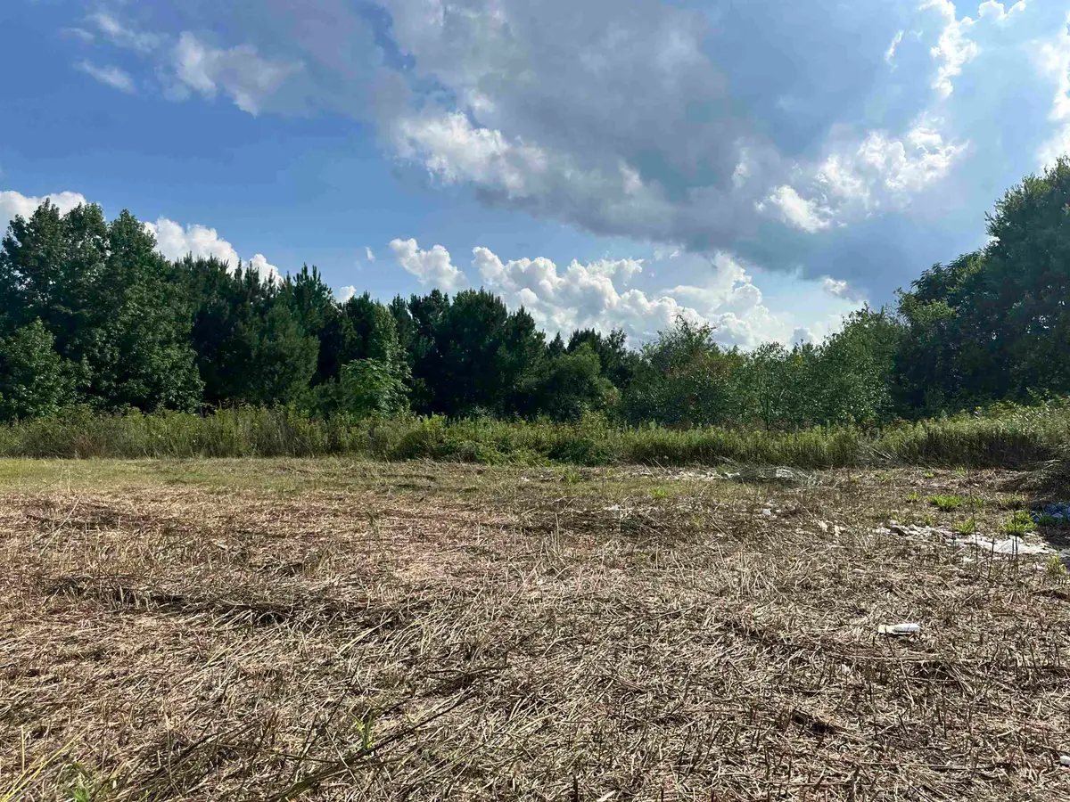 100 Lulu Ln., Bennettsville, SC 29512 - #1
