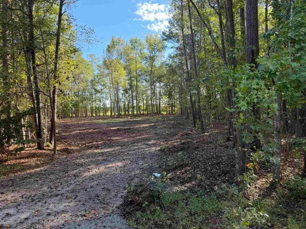 Tract 1 Wise Rd., Conway, SC 29526