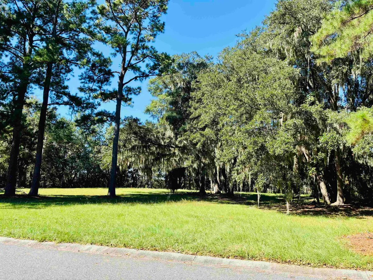 602 Chapman Loop, Pawleys Island, SC 29585 - #1