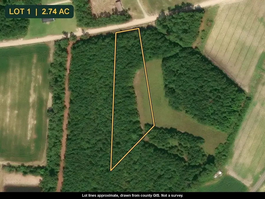 TBD Tranquil Rd., Nichols, SC 29581 - #2