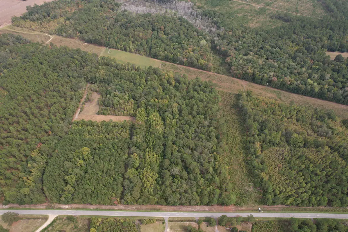 7+/- Acres Marion Church Rd., Salters, SC 29590 - #1
