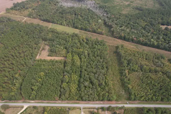 7+/- Acres Marion Church Rd., Salters, SC 29590