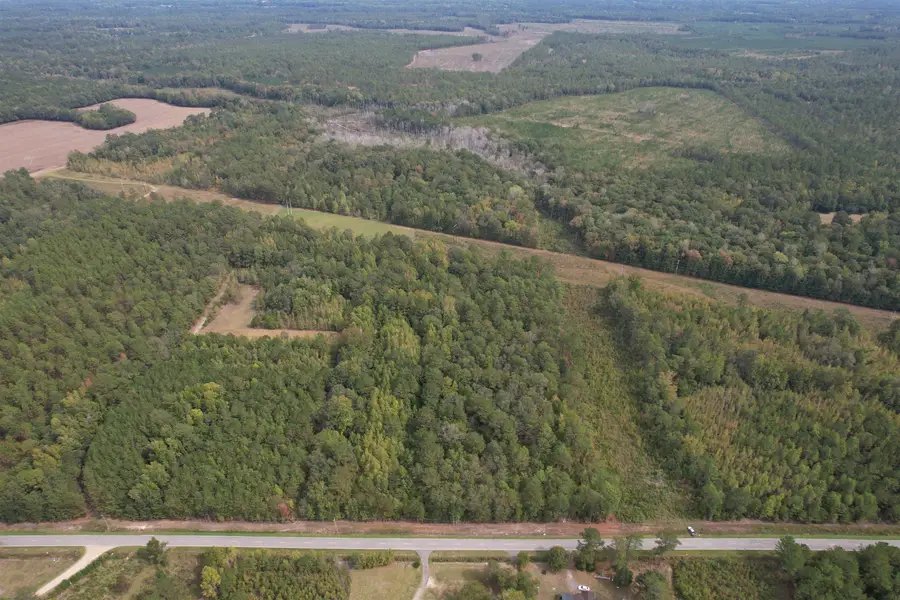 7+/- Acres Marion Church Rd., Salters, SC 29590 - #2